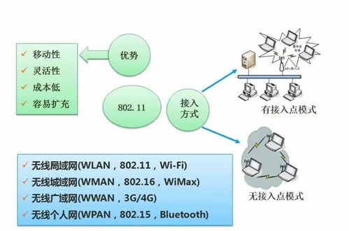 计算机网络与信息安全考点总结篇四 网络与信息安全软件开发