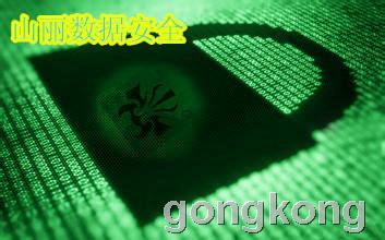 山丽网安 筑牢涉密信息安全防线，加密与防护软件双管齐下