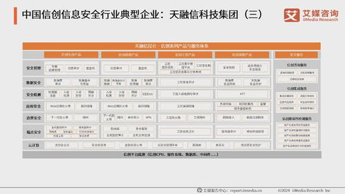 2024年上半年中国A股软件开发上市企业数据分析 网络与信息安全软件开发的崛起
